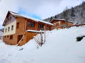 Gite de L'ours La Bresse